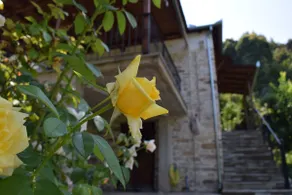 Holiday Home Dionysis - Image 3