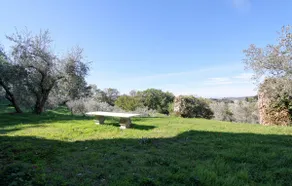 Maco's house - Image 4