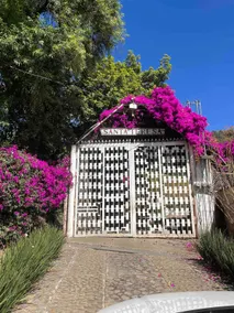 Finca Santa Teresa Tenancingoa 35 minutes from Malinalco - Image 2