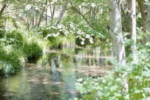 Kelsey Lodge - Abgeschiedener Waldurlaub - Image 3