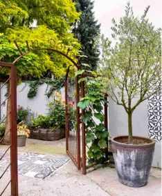 Apartment close to campus - Image 5