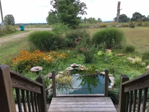 Ellen's Log Cabin with private mineral hot tub - Image 5