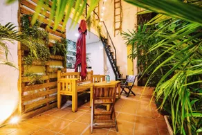 Hidden Jungle - NETFLIX/ Open area/ Airport pickup - Image 3