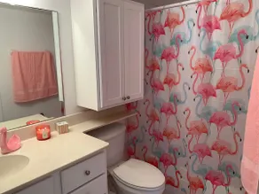 Flamingo beachfront condo WITH NEW POOL - Image 3