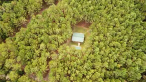 Cozy cabin in the Georgia pines! Retriever kennels - Image 5