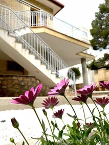 Home Campoamor - Image 4