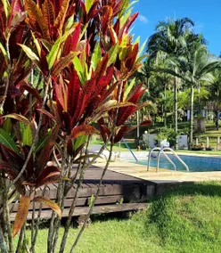 Santo Caus Farm - Image 5