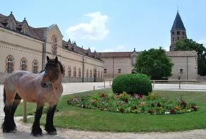Charming house in Southern Burgundy. - Image 2