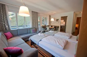 Haus Bodmen C, Apartment Edelweiss - Image 5