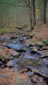 Deer Brook Cabin w/ Hot Tub, Fireplace & Brook - Image 3