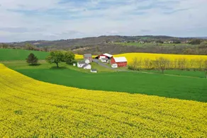 The Great Escape- Country Farm House - Image 2