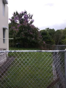 House in Cabo Rojo - Image 5