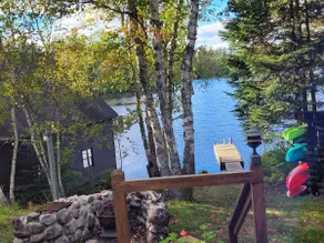 3 Birches on Rainbow Lake - Image 5