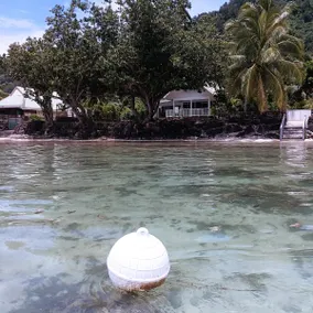 Moorea Hanahana Villa on the beach - Image 2