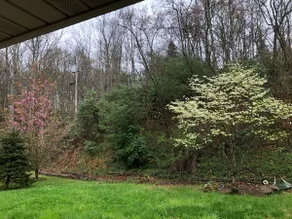 Dogwood Haven - Green - Image 2
