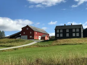 Ellen-rommet Farm, 10 km from Røros - Image 5