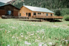 Hallowood Cabin - Image 2