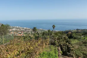 Maison de vacances \"Casa el Obispo\" avec vue sur la montagne, vue sur l'océan et terrasse - Image 2
