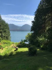 Quinault Cove- Blue Jay Nest - Image 2