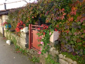 cottage le marguerite - Image 3