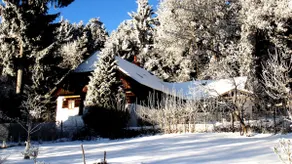Picturesque cottage near Javorník in Šumava with sauna - Image 2