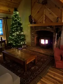 SECLUDED! Cabin @ JUNIPER RIDGE-WIFI/DOG FRIENDLY - Image 3