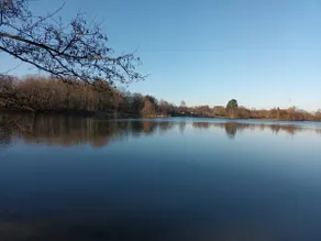Oasis by the lake (free bicycles) - Image 5