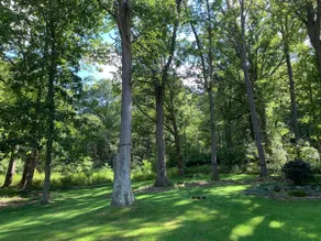 ~ Meadow View ~ - Image 5