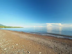 Beachfront Villa / Ocean view / Coral reef - Image 3