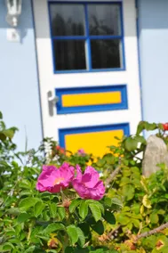 Our Baltic Sea house - Image 3