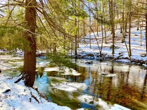 Experience Magical Creekside! Real Fireplace, Ski+ - Image 5