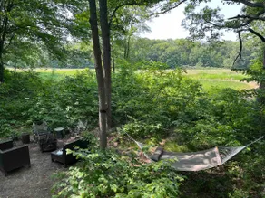 Cabin in the Woods - Trails & Pet Friendly! - Image 4