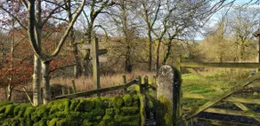 The Old Dairy - Image 5