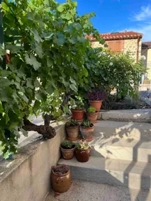 L'Oustal des Vignes - Image 5