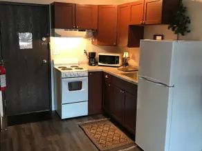 Ski Lodge Condo Across from Big Powderhorn, nær Copper Peak, Black River Harbour - Image 2