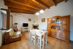 The Olive Grove - Image 3