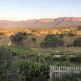 Spectacular vineyard homestead with views!! - Image 4