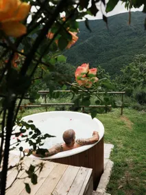 artistic alpine pasture set amidst wild nature - Image 2