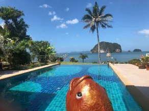Sea View Villa With Private Pool - Image 3