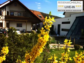 Tiny Apartment LIVE-IN Wertheim am Main - Image 3