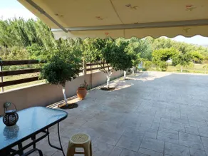 Apartment Rodia 3 - Image 3