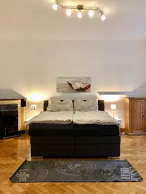 Gorgeous Viennese Apartment 10 min to City Center - Image 4
