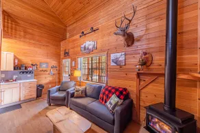 Elk Hollow Cabin with CHARM Backs National Forest, WIFI, stocked kitchen, BBQ - Image 4