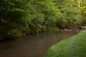 Near Downtown Gatlinburg/Creek Access/Renovated - Image 5