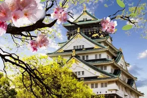 Namba, USJ nearby, maximum 12 people, 120m2 luxury house 4LDK, free parking for 2 cars, 2 bathrooms, 2 toilets - Image 2