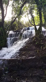 Seaside Cottage with mountain views & waterfall - Image 2