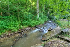 Honeymoon Creek - Image 5
