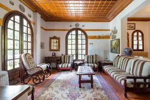 Zenios Dionysos - Traditional villa - Image 2