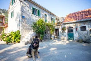 Rustic Dalmatian stone guesthouse - Image 3