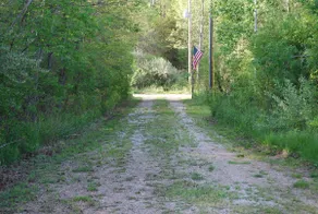 Secluded in the woods. No neighbors in sight. - Image 3